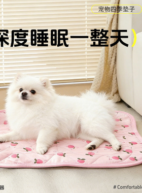 宠物垫子猫狗通用舒适柔软深度睡眠四季保暖公主风窝垫宠物专用垫