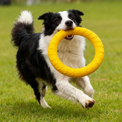EVA耐咬咬不烂大型犬飞盘