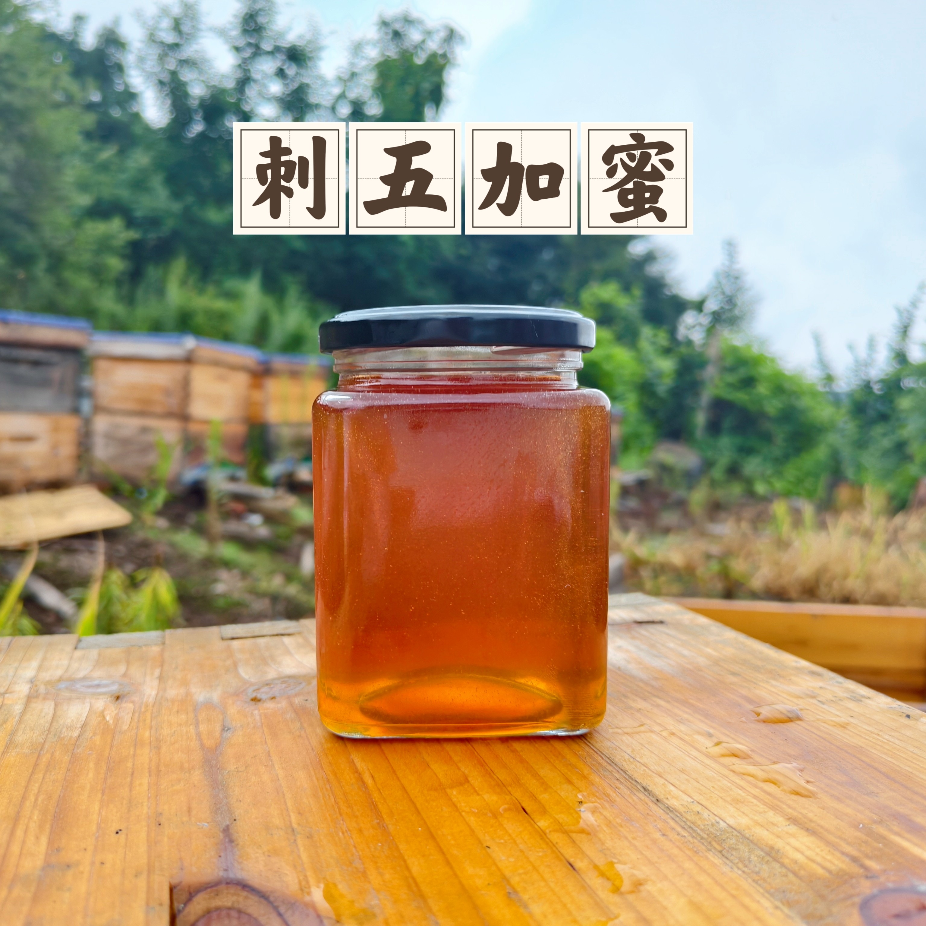 东北深山天然纯正刺五加百花蜜原蜜500g农家自产