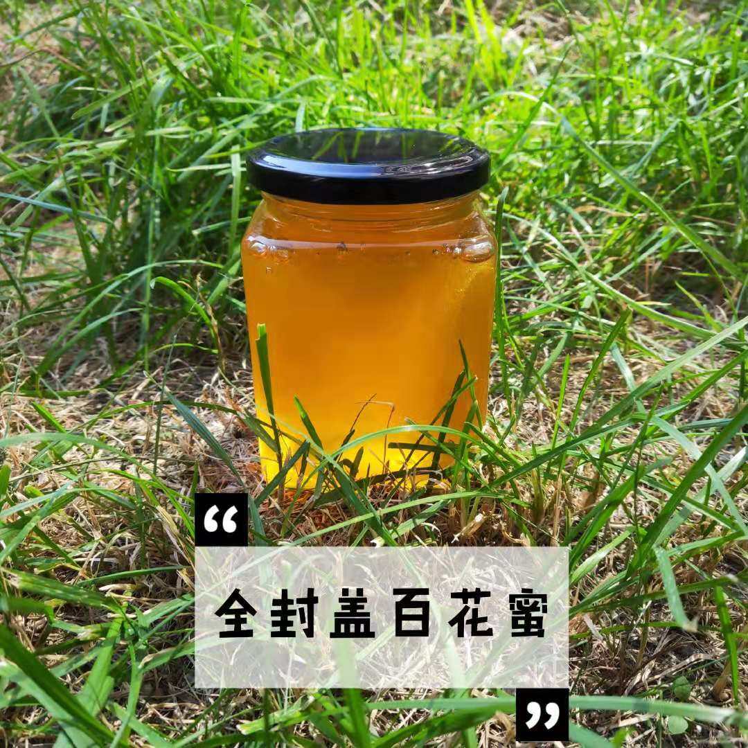 兰竹家全封盖百花蜜酿造