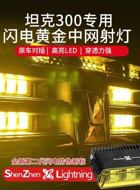 坦克300闪电黄金眼雾灯改装黄光高穿透镜雾灯中网小黄灯配件