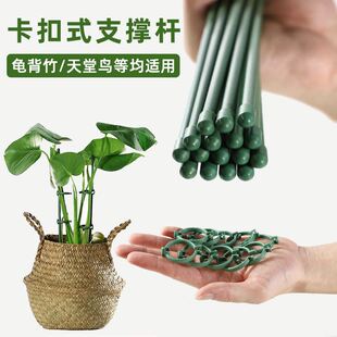 植物支撑杆花支撑架龟背竹花架月季园艺花卉支架固定防倒伏花架子