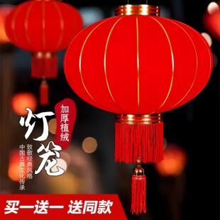 2026马年新款灯笼大门口一对大红灯笼免充电户外室内阳台挂饰农村