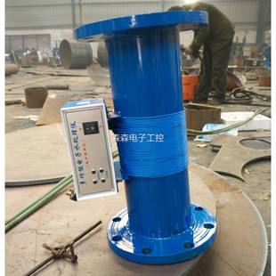 电子除垢仪 水处理器 缠绕式 感应式 量大从优 DN100 厂家直销