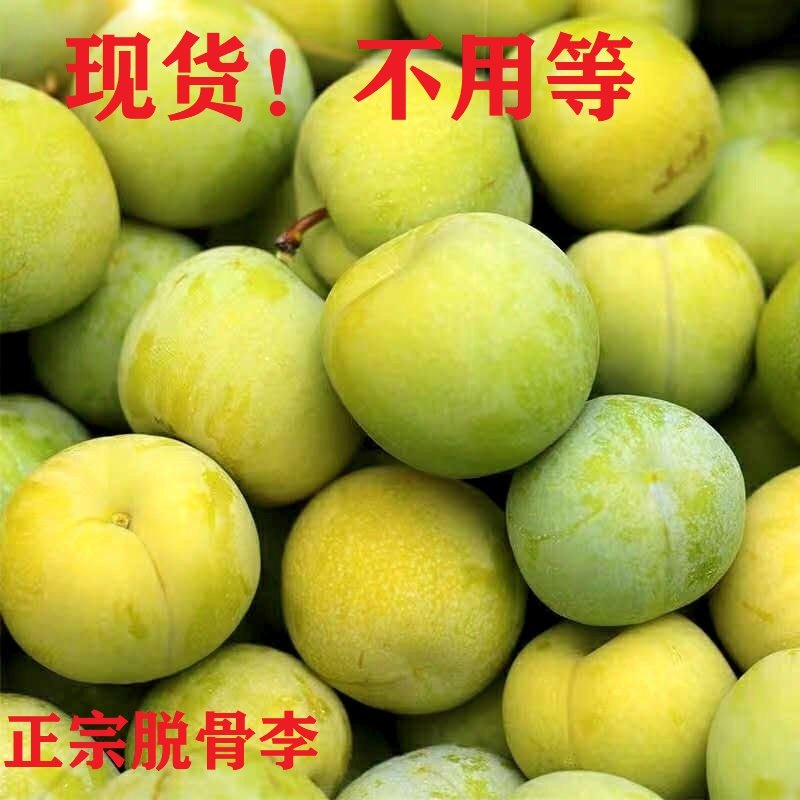 贵州李子新鲜正宗脱骨李毕节本地李子脆甜李子江安李清脆李水果