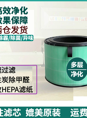 适配LG空气清新机清净机AS10GDWH0过滤网AS60GDWV0滤芯除甲醛