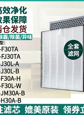 适配夏普净化器FP-J30L/JM30A/H30A/F30A-A/B/H过滤网KC-FJ30TA芯