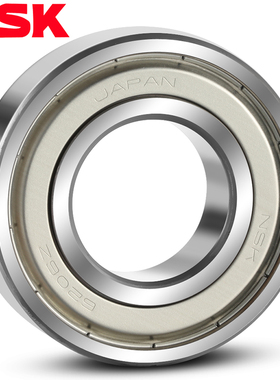 轴承NSK 轴承 N1006CC1 P4 机床轴承BTKR 高温CC0精密MR高速P5 C3