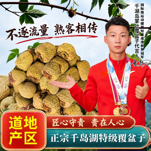 正宗浙江千岛湖高山掌叶覆盆子果