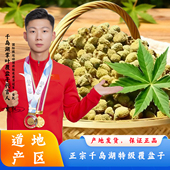 正宗浙江淳安千岛湖覆盆子干中药材正品 500g复盆子泡茶功效与作用