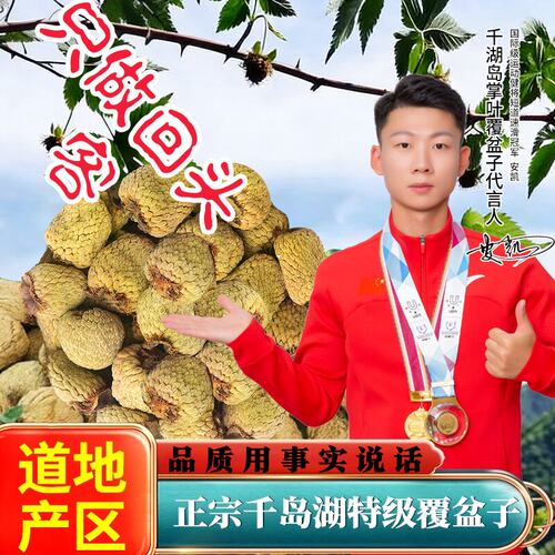 「千岛湖掌叶」正宗淳安覆盆子干