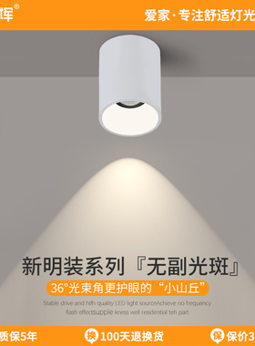 爱多辉明装筒灯cob射灯吸顶式全光谱RG0护眼小山丘洗墙天花灯6222