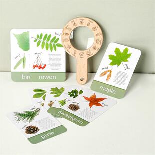 宝宝探索大自然植物对比益智早教兴趣培养放大镜玩具植物认知卡片