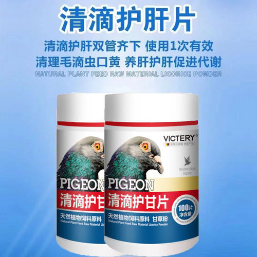 汉诺威鸽子用清滴护肝片清毛滴虫