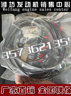 WP13潍柴WP10船用WP12柴油发动机1004231097Z转速控制器C2002船舶