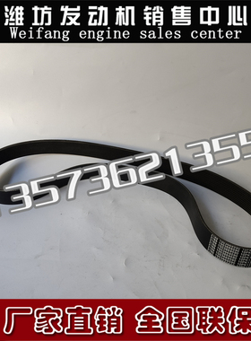 潍柴WP10柴油发动机铲车50装载机1003669590多楔带10PK1315皮带