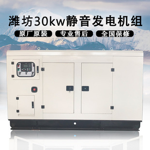 潍坊30KW千瓦静音柴油发电机组380V低噪音全自动消防验收应急备用