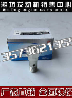 WP12潍柴WP6柴油发动机WP10电喷高压共轨泵溢流阀612600081584