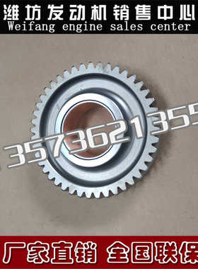 潍柴WD615斯太尔WP10柴油发动机WD10配件61560050053中间齿轮总成