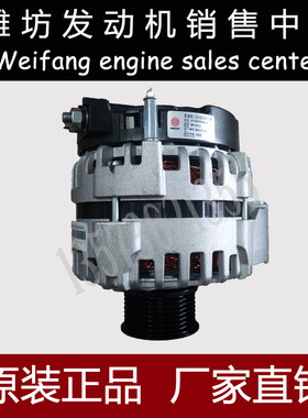 潍柴斯太尔WD12/WP12柴油发动机WD10 WP10原厂612600090816发电机