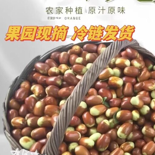 整箱山西红枣现摘板枣当季水果健康低糖可蒸大枣顺丰包邮