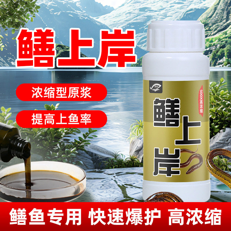 鳝上岸钓鱼巨物上岸鳖大鲤草青鲢台钓饵