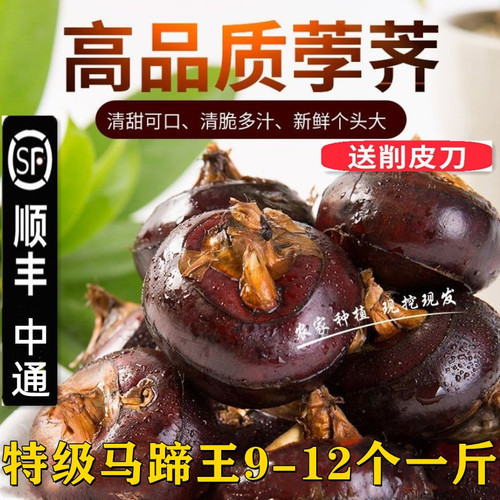 顺丰包邮江南特产安徽马蹄