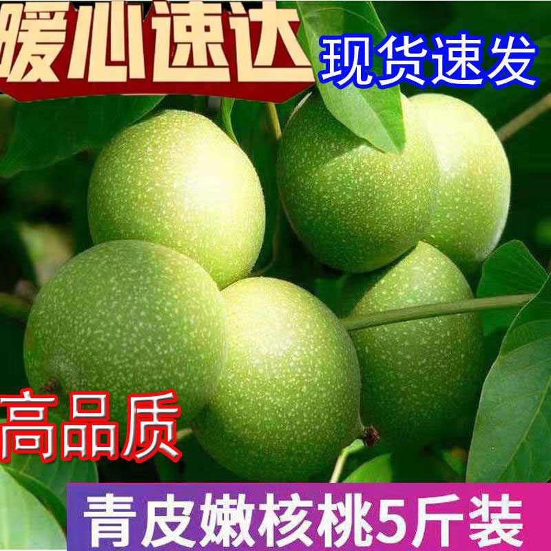秒发现货鲜核桃去青皮新鲜湿带青皮湿核桃鲜核桃仁孕妇薄皮2斤5斤