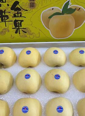 正宗烟台博士达音乐果园富硒黄金苹果精品礼盒新鲜脆甜