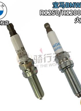 宝马原厂R1250GS/R1300GS水鸟R1200GS/ADV/R1250RT/RS/R火花塞NGK