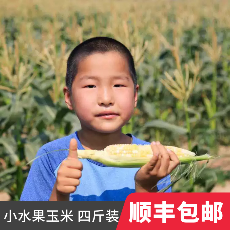 【现摘现发】鸿斌奶油水果玉米爆浆新鲜山东农场产地直发四斤