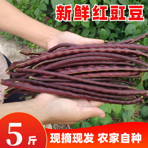 新鲜苏北农家现摘当季蔬菜