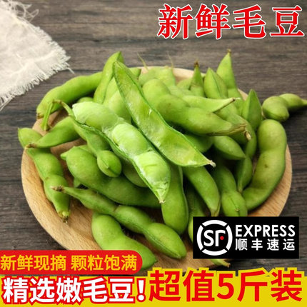 苏北农家新鲜毛豆带壳嫩毛豆角现摘青大豆荚当季蔬菜5斤现摘现发