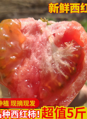 顺丰包邮农家西红柿现摘现发