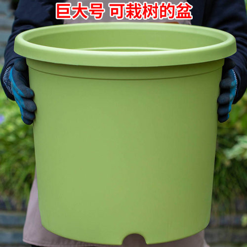 PP树脂坚固耐用环保无异味