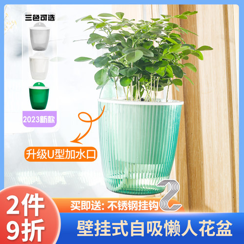 新品上市花卉绿植盆30天免浇水