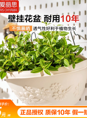 爱丽思花盆加厚树脂壁挂花盆阳台种花挂壁花盆园艺半壁挂盆送挂钩