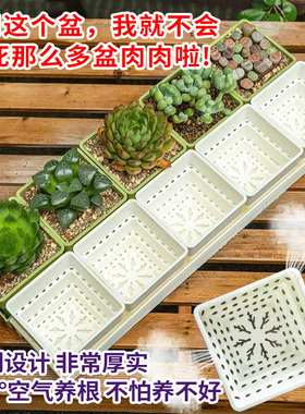 树脂多肉花盆大口径小白方组合带底座托盘塑料透气植物专用控根盆