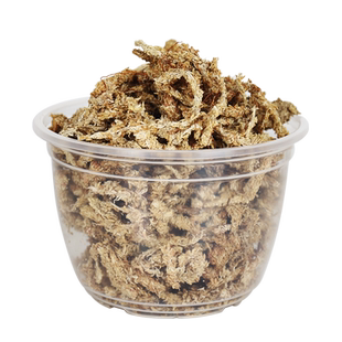 水苔进口智利基质7星毛毛虫营养土蝴蝶兰植物专用兰花捕蝇草多肉