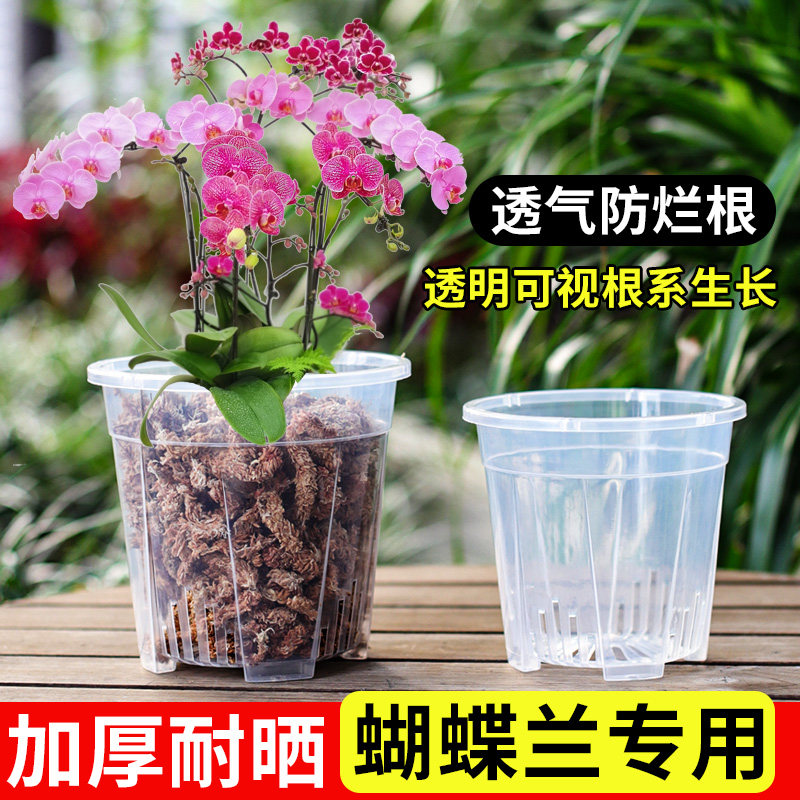 透明青山控根盆兰花水苔蝴蝶兰专用花盆塑料透气镂空大号花盆家用