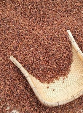 沂蒙山野生侧柏壳 黑发枕头散装枕芯白发少白头柏树壳柏子壳