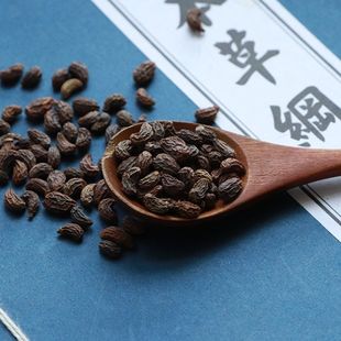 女贞子干净新货枕头枕芯填充物原材料用冬青子白蜡树种子须发早白