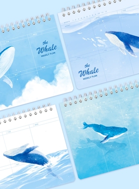 韩国Pinkfoot 鲸鱼横款八分格周计划线圈本 一周一页 weekly plan