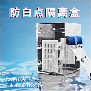 静风听海防白点隔离盒亚克力鱼缸隔离箱小型大号特大带隔板挂式盒