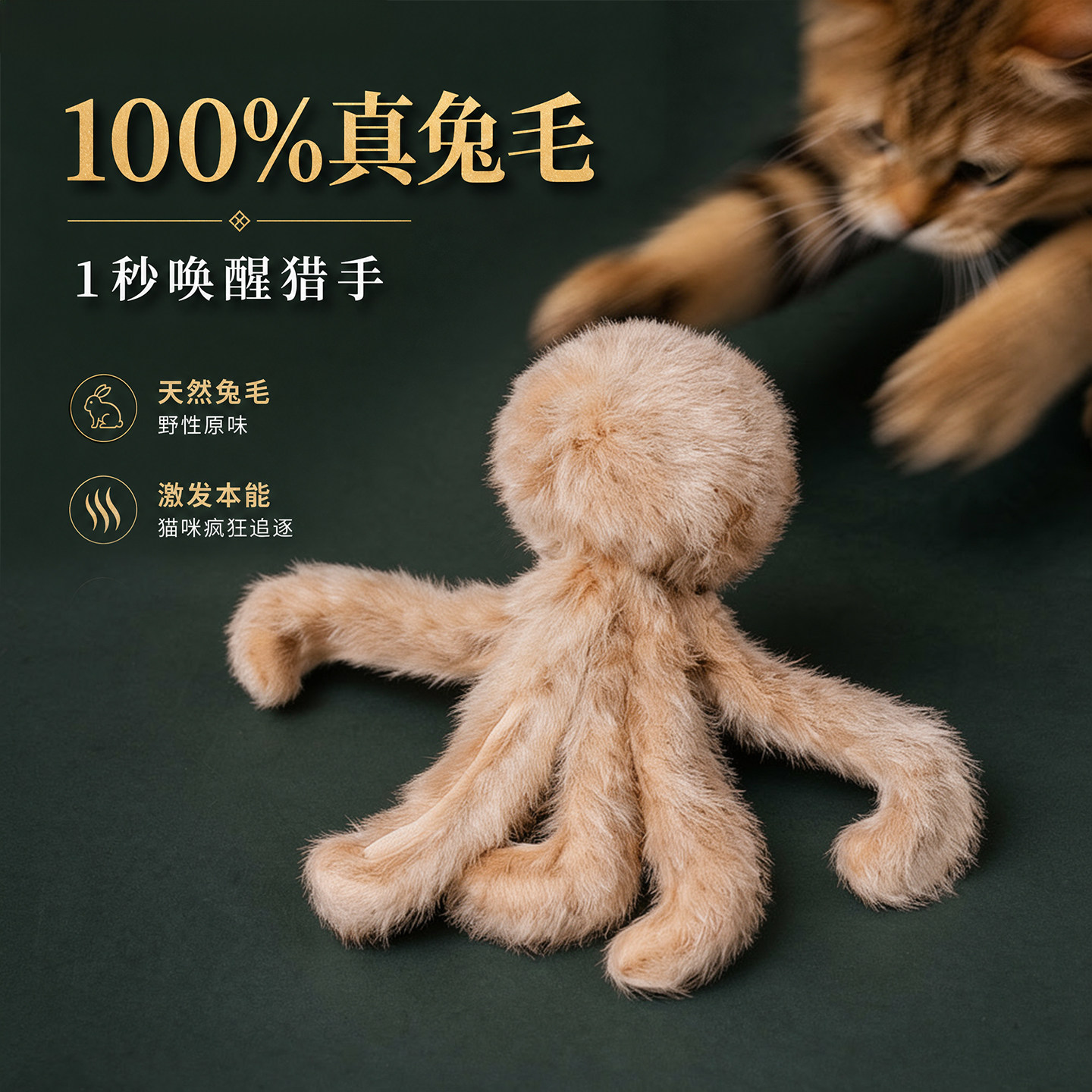 【兔毛八爪鱼】消耗猫精力不拆家图片
