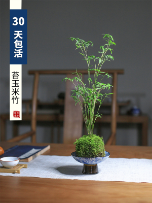 最新优惠券大全 爱券购优惠券