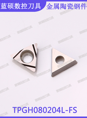 JSWS三角形内孔外圆精车刀片TPGH080204L-FS/080202 金属陶瓷刀头