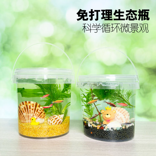 生态瓶DIY小鱼手提塑料微景观淡水冷水观赏鱼虾真水草活体学校