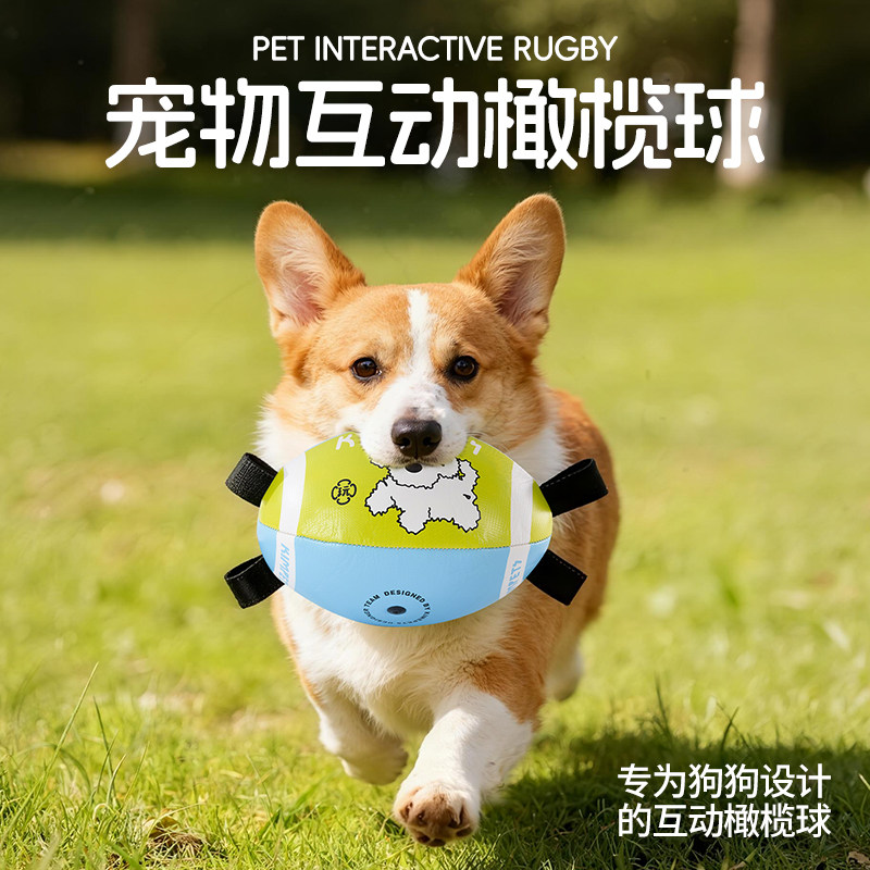 狗狗橄榄球玩具自嗨解闷耐咬狗足球柯基边牧训练互动户外宠物玩具,宠物/宠物食品及用品,橡胶球/球形玩具,淘宝优惠券,粉丝福利购,淘宝优惠卷