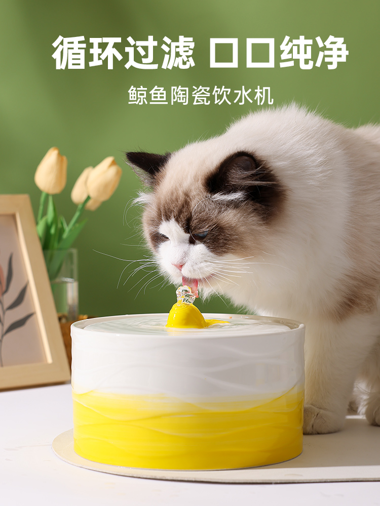 猫咪饮水机流动陶瓷猫饮水器喝水器自动宠物狗狗喂水循环喝水猫碗